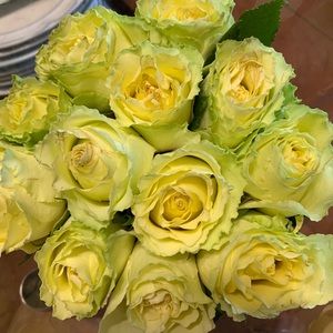 Meet your Posher, Caroline